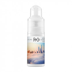 SKYLINE Dry Shampoo Powder 28G