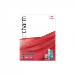 COLOR CHARM PERMANENT AND DEMI SWATCH BOOK 