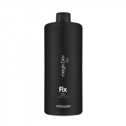  MEGIX10 COLOR FIX DEVELOPER LITRE (6%)
